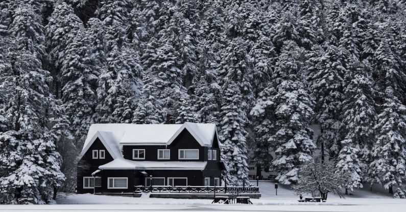 Presence - Snowy House Grayscale Photo